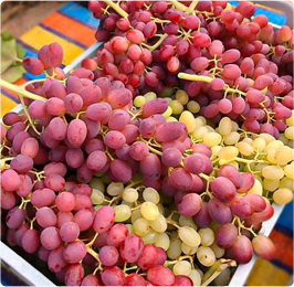 GRAPES EXPORTER IN IRAN