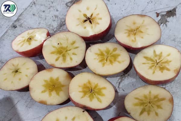 Different Mechanisms for Planting Red Delicious Apples and Controlling Apple Pests