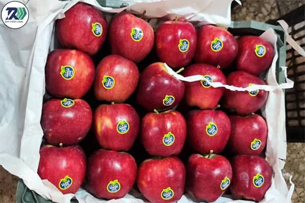 How to produce fresh apple fruit?